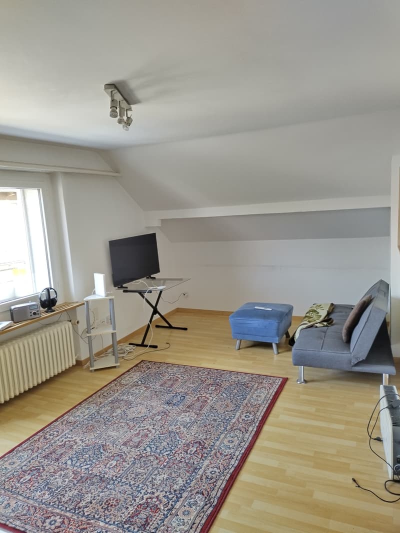 Nachmieter für 3.5-Zimmer-Dachwohnung (6)