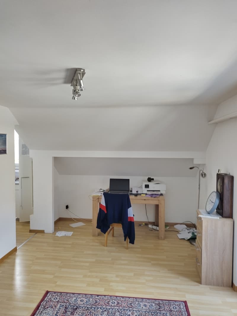 Nachmieter für 3.5-Zimmer-Dachwohnung (4)