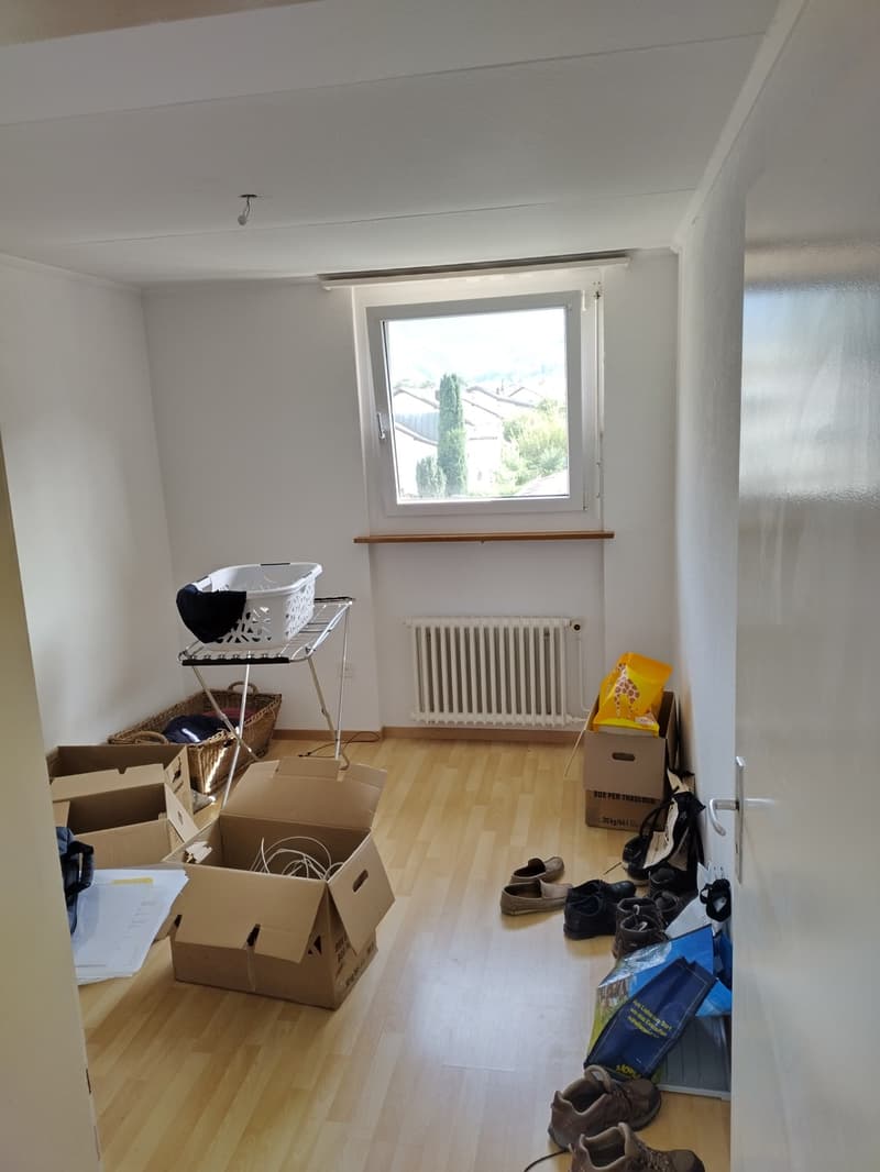Nachmieter für 3.5-Zimmer-Dachwohnung (5)