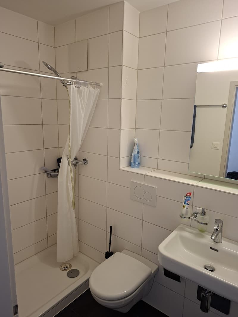 Reprise de bail Joli appartement disponible de suite à Morat (4)