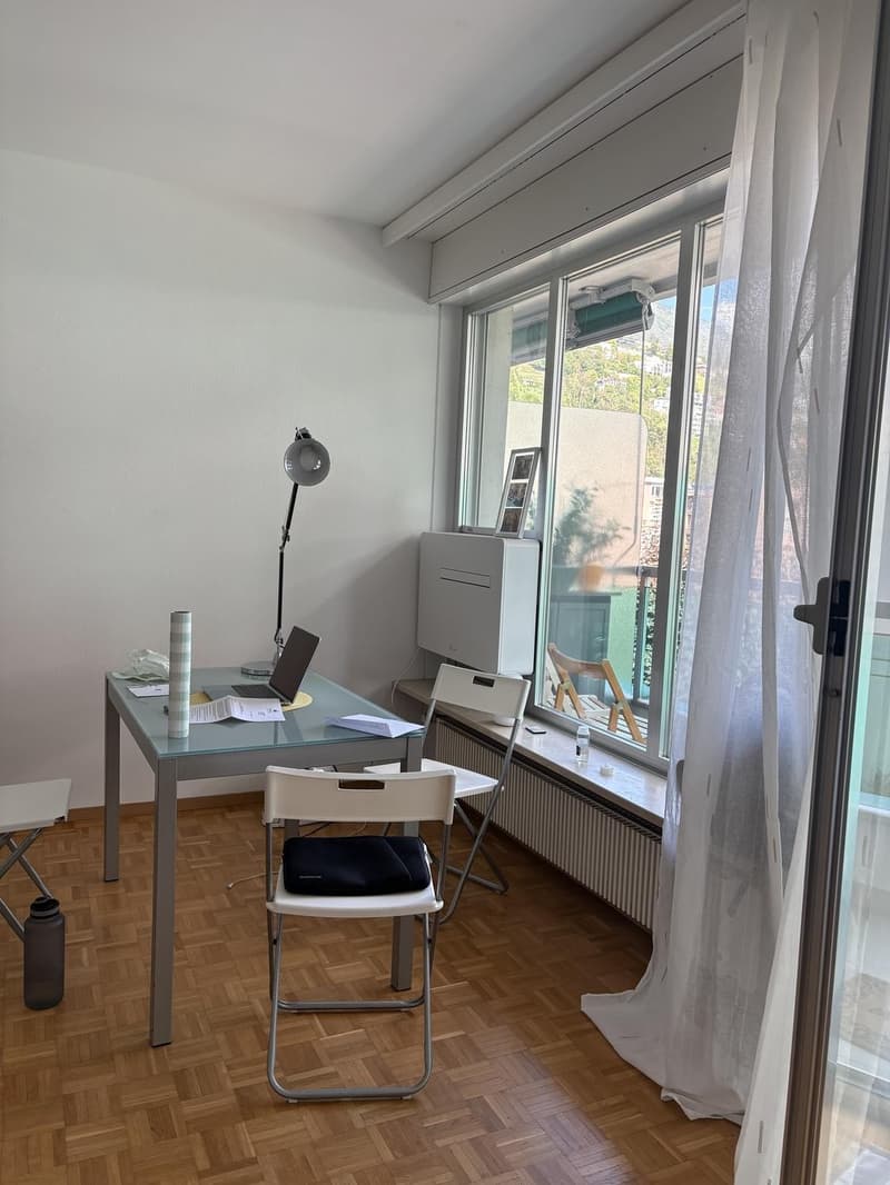 Cerco un subentrante per questo monolocale a Locarno (7)