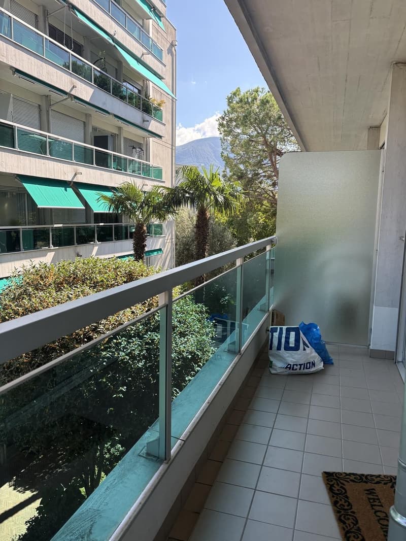 Cerco un subentrante per questo monolocale a Locarno (2)