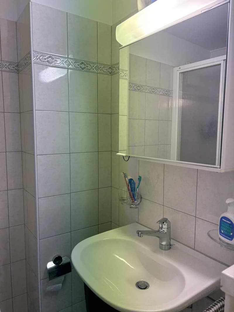 Cerco un subentrante per questo monolocale a Locarno (8)