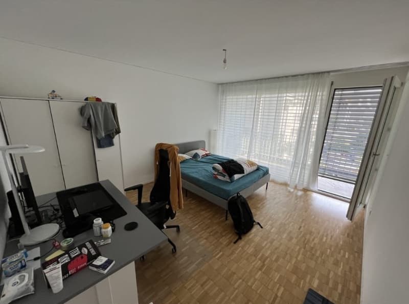 Nachmieter gesucht für schöne 2.5-Zimmer-Wohnung in Zürich Altstetten (ENGLISH BELOW) (6)