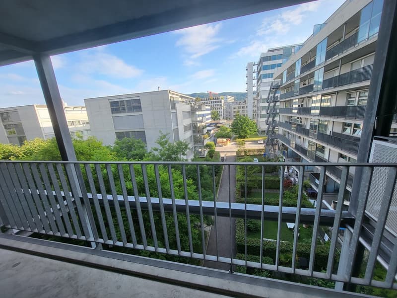 Nachmieter gesucht für schöne 2.5-Zimmer-Wohnung in Zürich Altstetten (ENGLISH BELOW) (10)
