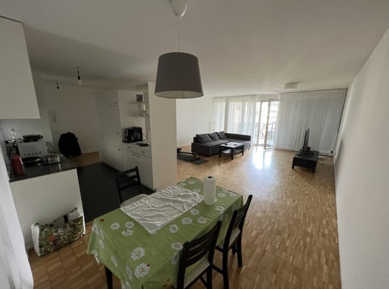 Nachmieter gesucht für schöne 2.5-Zimmer-Wohnung in Zürich Altstetten (ENGLISH BELOW) (2)