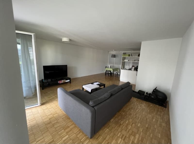 Nachmieter gesucht für schöne 2.5-Zimmer-Wohnung in Zürich Altstetten (ENGLISH BELOW) (1)