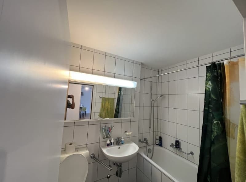 Nachmieter gesucht für schöne 2.5-Zimmer-Wohnung in Zürich Altstetten (ENGLISH BELOW) (4)