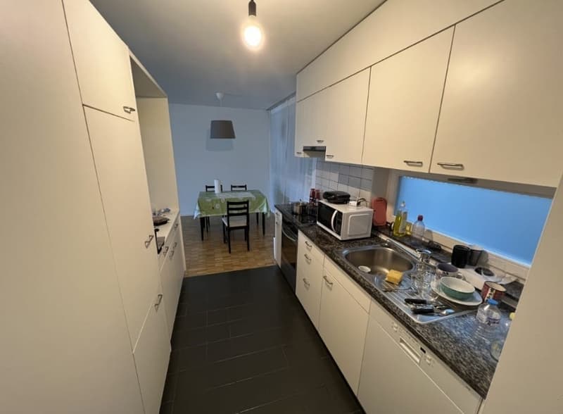 Nachmieter gesucht für schöne 2.5-Zimmer-Wohnung in Zürich Altstetten (ENGLISH BELOW) (3)