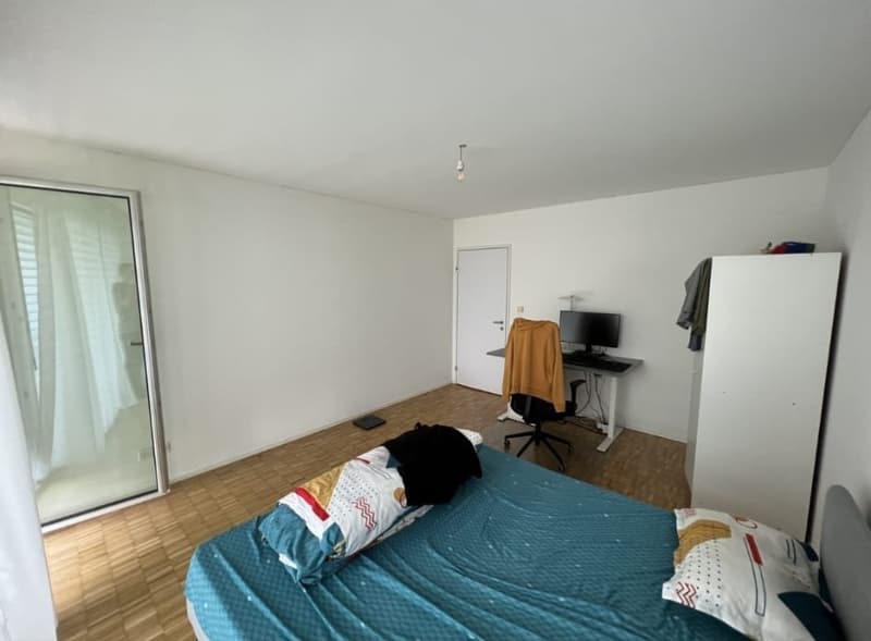 Nachmieter gesucht für schöne 2.5-Zimmer-Wohnung in Zürich Altstetten (ENGLISH BELOW) (7)