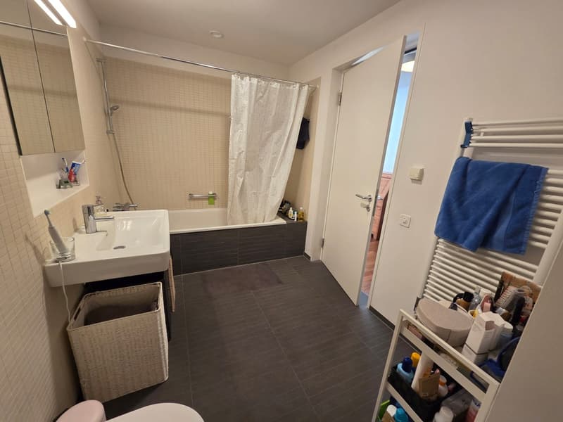 TRAUM-LOFT: 76m² + 30m² Terrasse in Dietikon (8)
