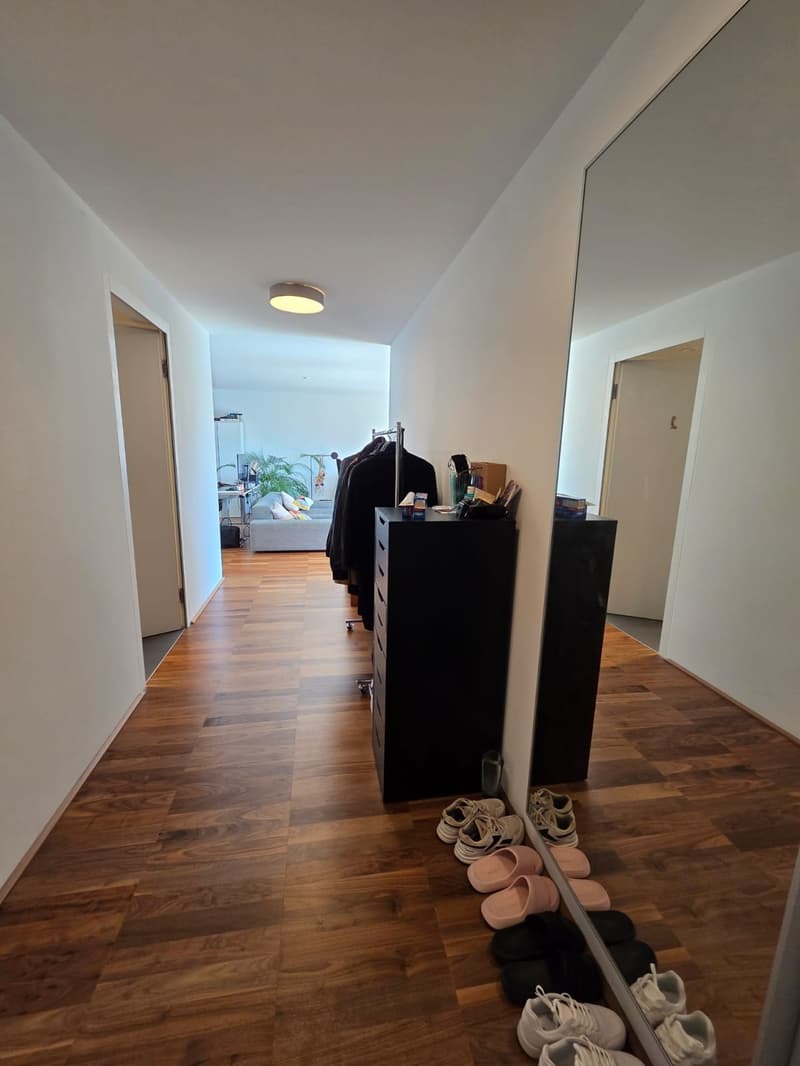 TRAUM-LOFT: 76m² + 30m² Terrasse in Dietikon (6)