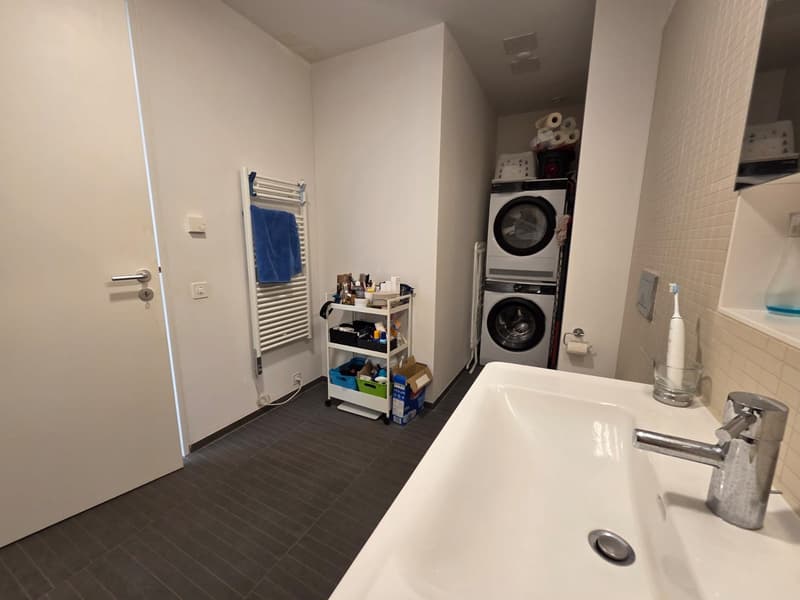 TRAUM-LOFT: 76m² + 30m² Terrasse in Dietikon (7)