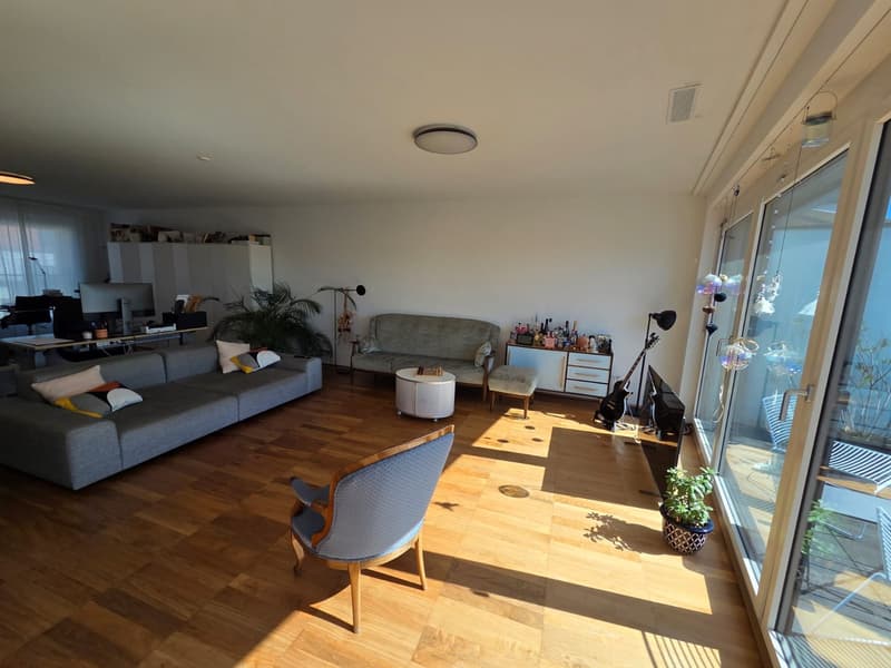 TRAUM-LOFT: 76m² + 30m² Terrasse in Dietikon (4)