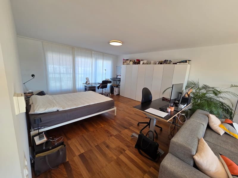 TRAUM-LOFT: 76m² + 30m² Terrasse in Dietikon (5)