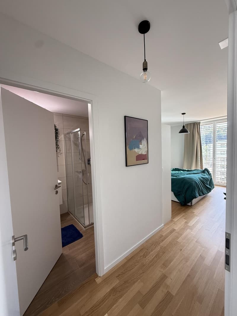 Avec vue sur les montagnes, charmant appartement de 3.5 pièces (5)