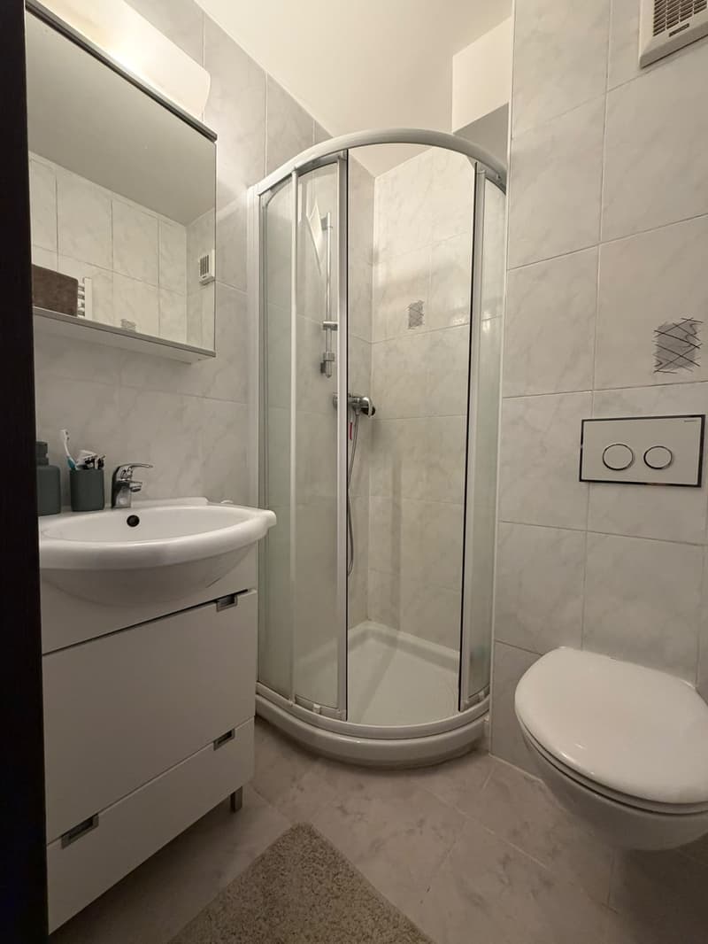 FURNISHED SINGLE ROOM WITH PRIVATE EN-SUITE BATHROOM IN CENTRAL BUSSIGNY (3)
