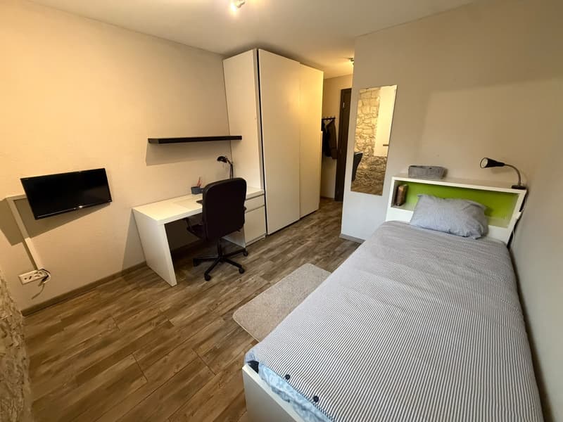 FURNISHED SINGLE ROOM WITH PRIVATE EN-SUITE BATHROOM IN CENTRAL BUSSIGNY (2)