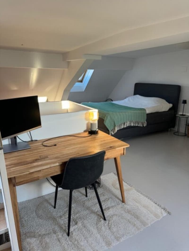 Duplex-/Maisonette-Wohnung zentral in Zürich mit Dachterrasse (7)