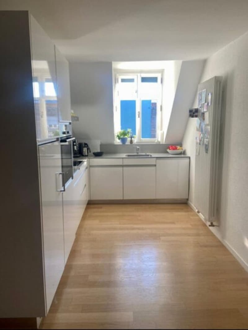 Duplex-/Maisonette-Wohnung zentral in Zürich mit Dachterrasse (4)