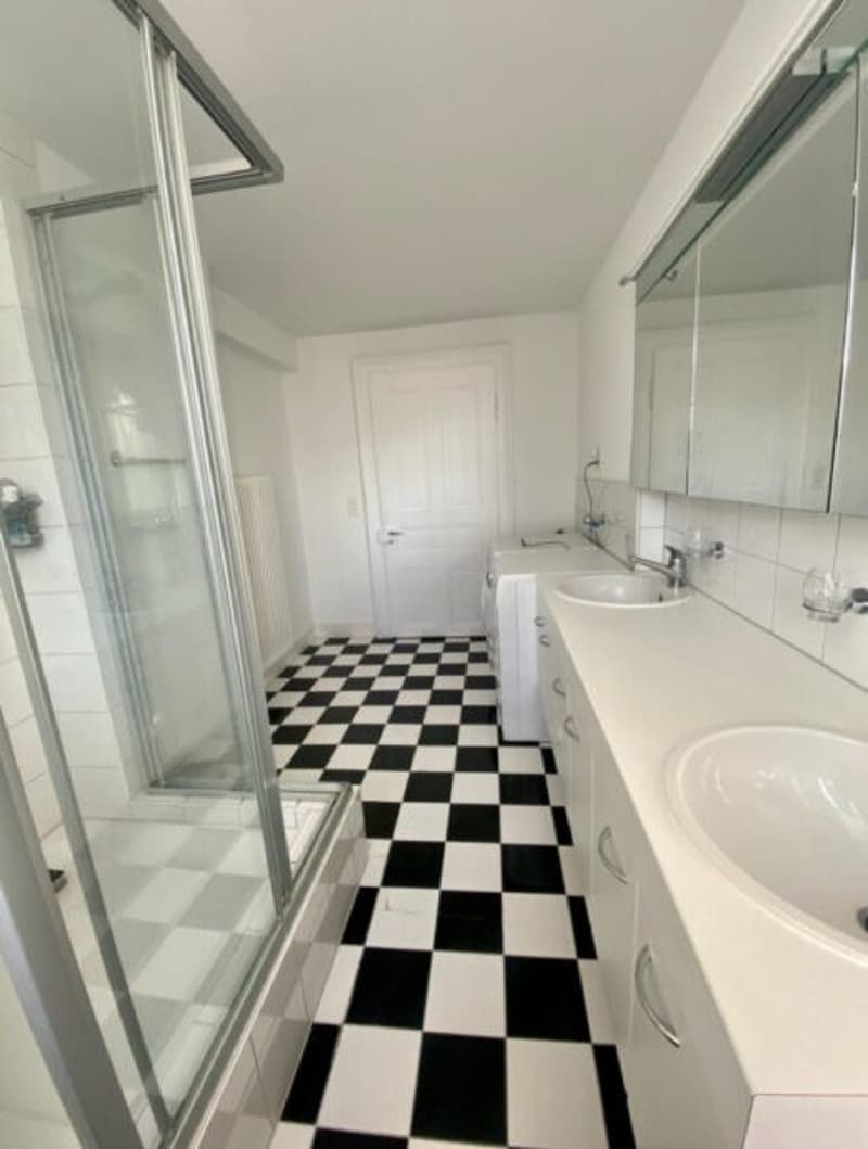 Duplex-/Maisonette-Wohnung zentral in Zürich mit Dachterrasse (6)