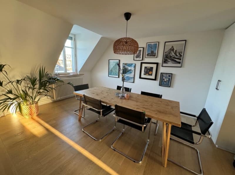 Duplex-/Maisonette-Wohnung zentral in Zürich mit Dachterrasse (3)