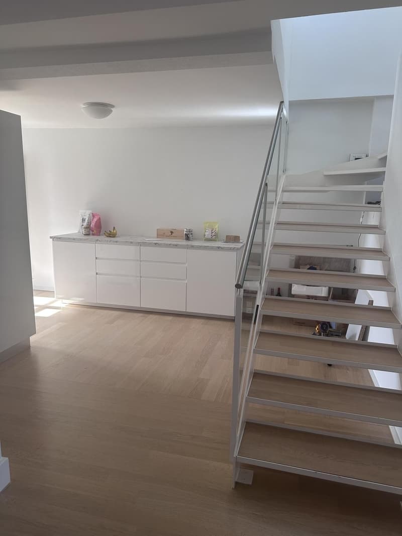 Duplex-/Maisonette-Wohnung zentral in Zürich mit Dachterrasse (5)