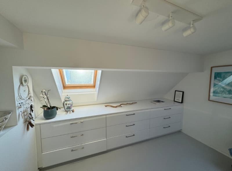 Duplex-/Maisonette-Wohnung zentral in Zürich mit Dachterrasse (8)
