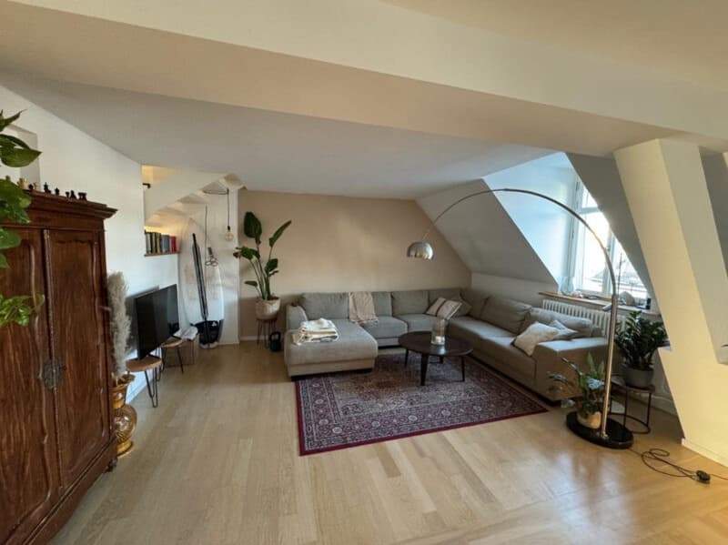 Duplex-/Maisonette-Wohnung zentral in Zürich mit Dachterrasse (1)