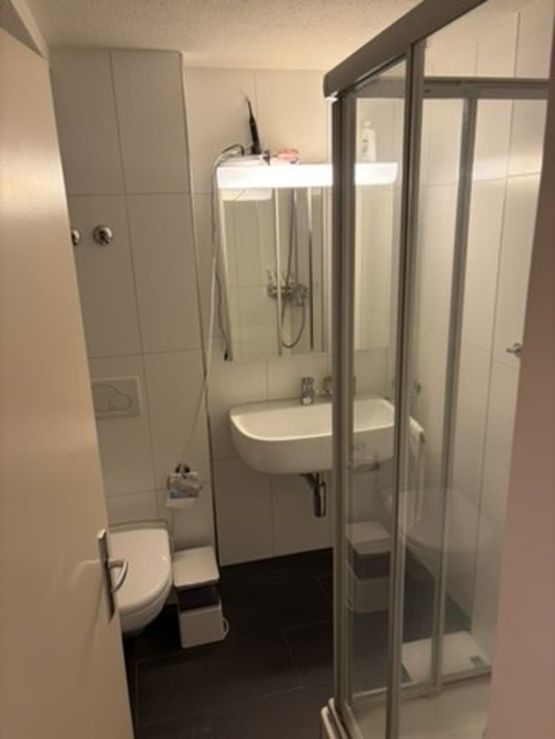 Befristete Untermiete 2.5 Zi. möbliert, Baar / Furnished short-term sublet (7)