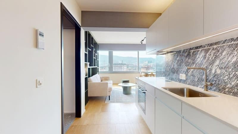 Striking residential high-rise in Zurich Altstetten - 18th floor with view towards Uetliberg (2)