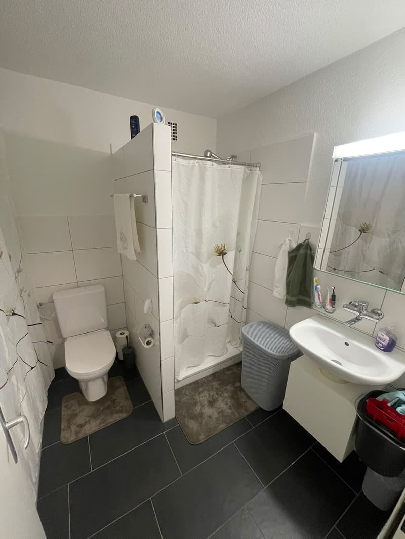 3-Zimmer-Wohnung Pieterlen (8)