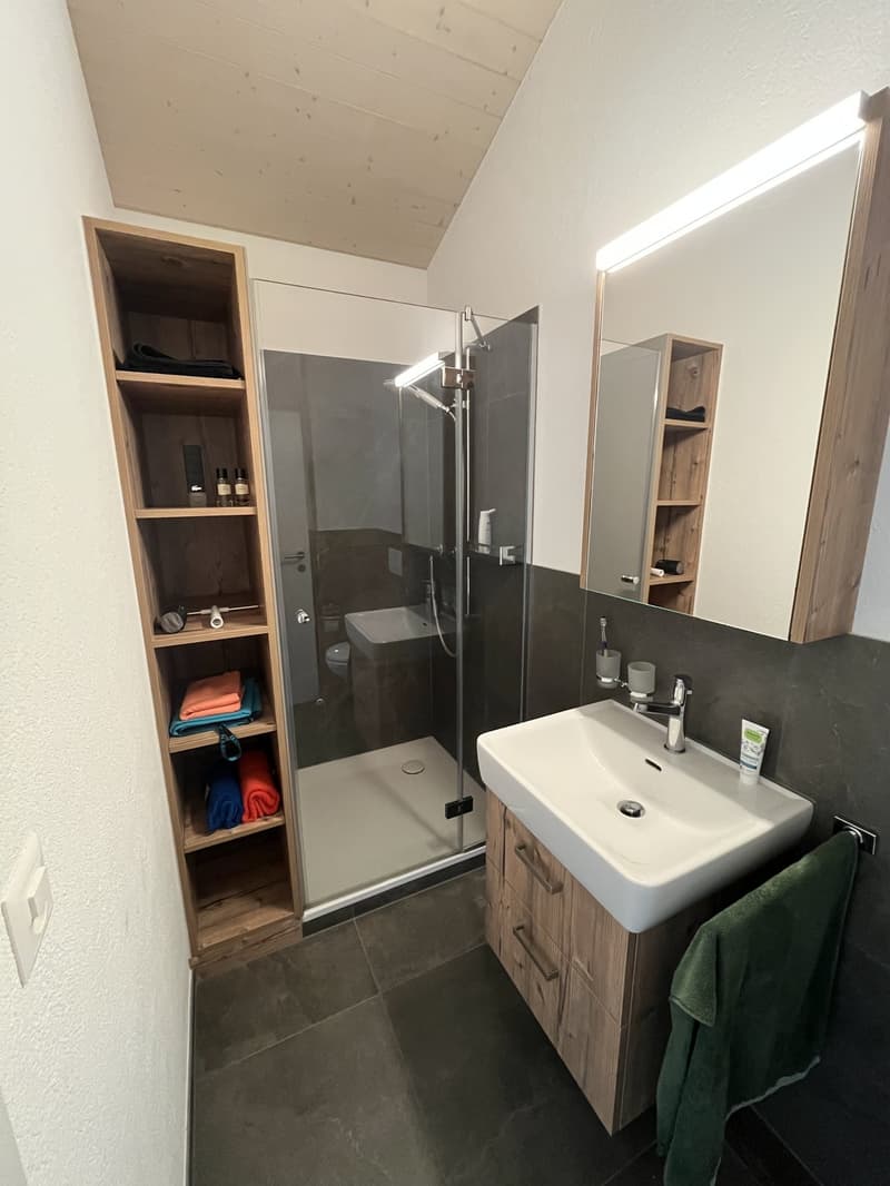 1 ½ Zimmer-Wohnung, 5624 Bünzen (2)