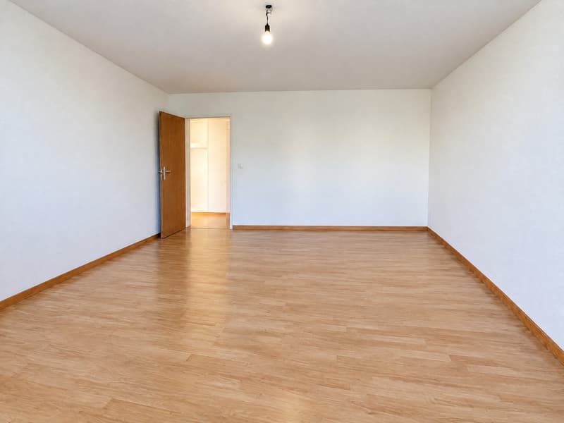 5.5 Room Penthouse in Central Pfäffikon with Lake View (3)