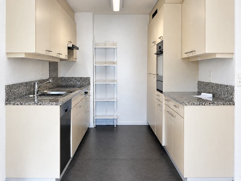 5.5 Room Penthouse in Central Pfäffikon with Lake View (6)