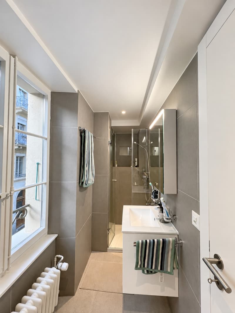Sous-location: Appartement meublé de 2 pièces à Vevey (5)