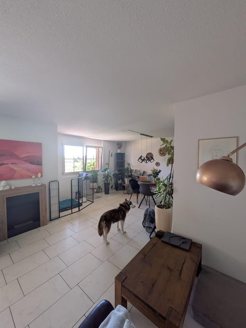 Helle 4.5-Zimmer-Wohnung in Nürensdorf zu vermieten (2)