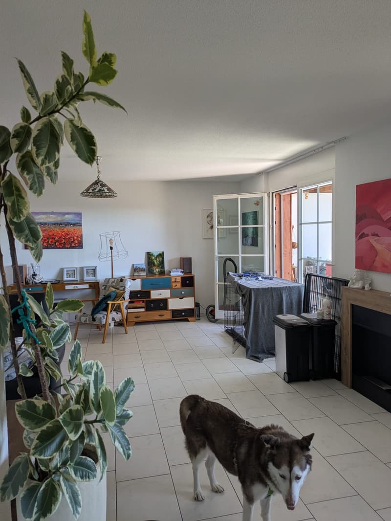 Helle 4.5-Zimmer-Wohnung in Nürensdorf zu vermieten (1)
