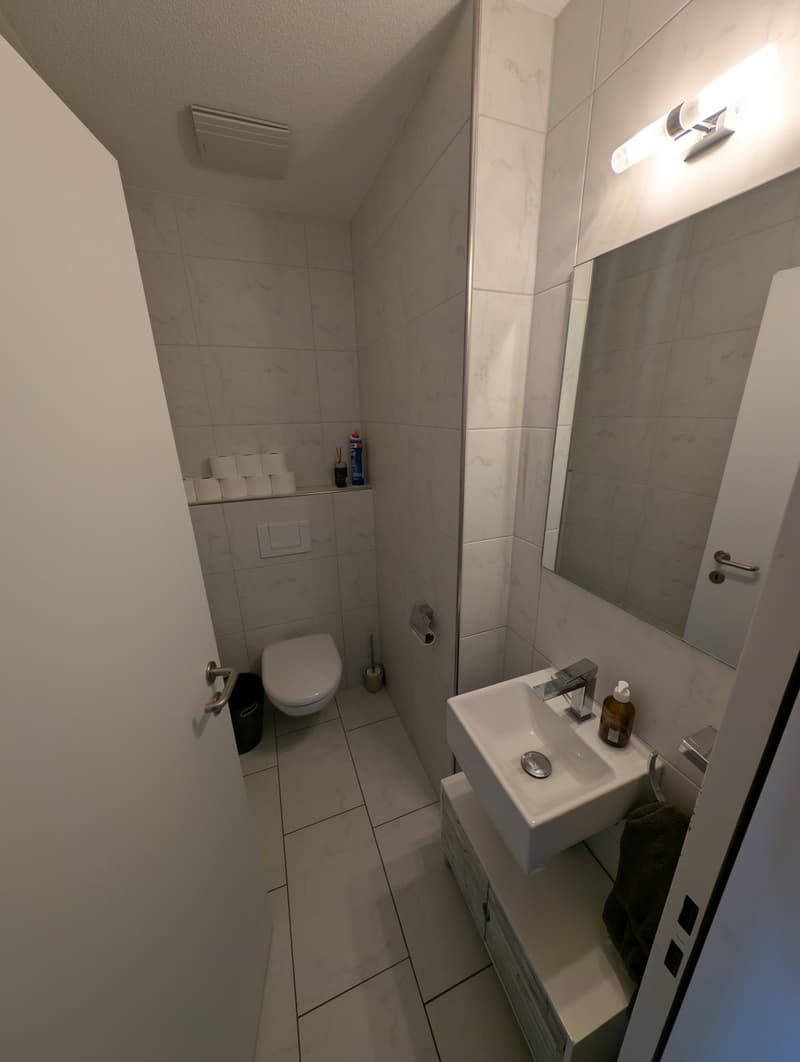 Helle 4.5-Zimmer-Wohnung in Nürensdorf zu vermieten (10)