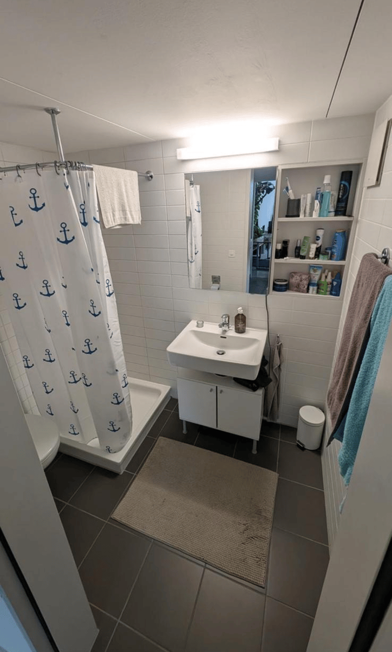 2,5-Zimmer-Wohnung in Schlieren (3)