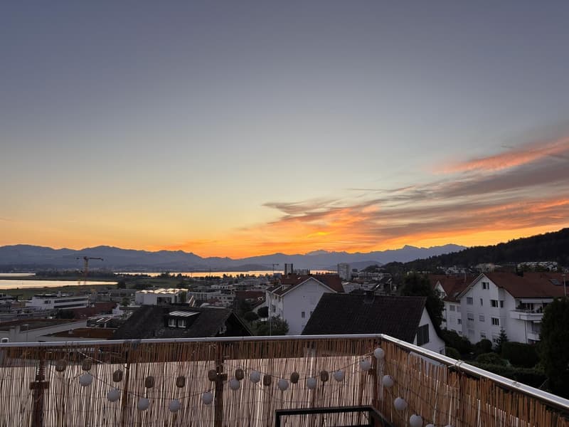 WG-Zimmer mit traumhafter Seesicht in renovierter 4.5-Zimmer-Wohnung (ab 1. Februar 2027) (7)