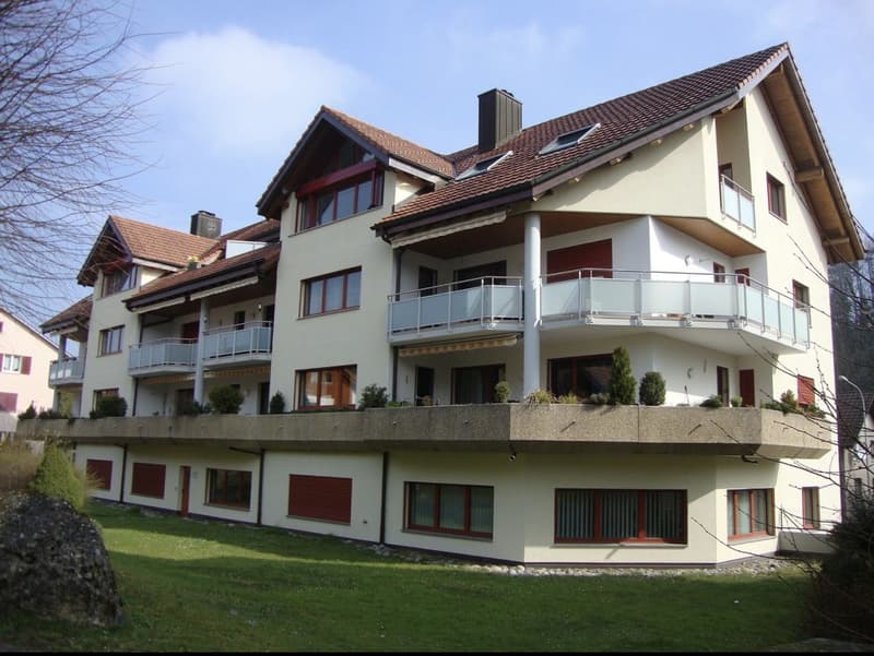 Helle 4.5-Zimmer-Wohnung mit Balkon in Langnau am Albis (2)