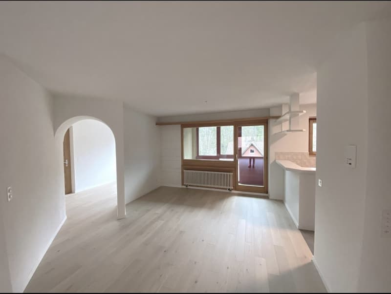 Helle 4.5-Zimmer-Wohnung mit Balkon in Langnau am Albis (1)