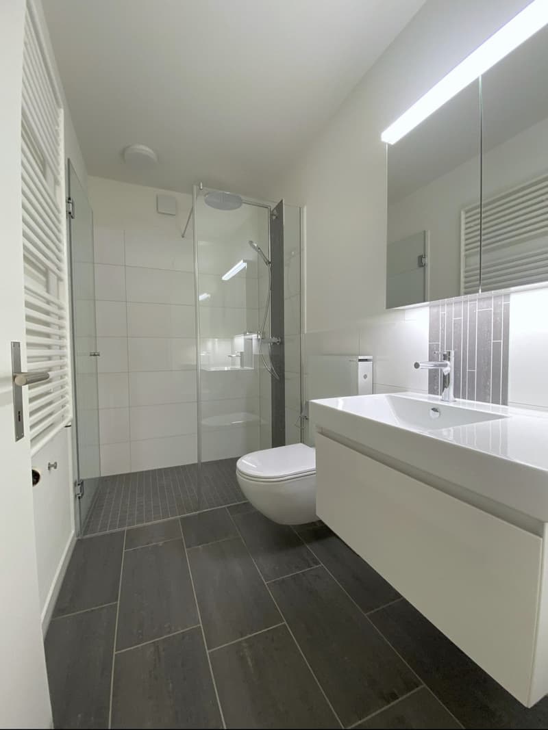 Helle 4.5-Zimmer-Wohnung mit Balkon in Langnau am Albis (13)