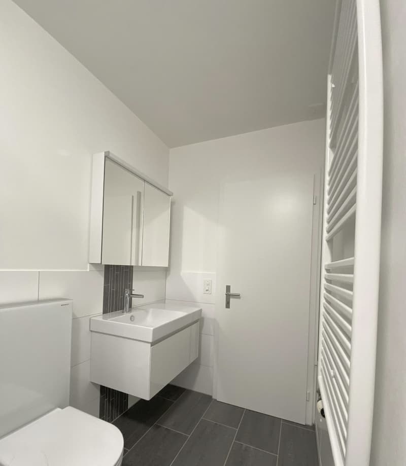Helle 4.5-Zimmer-Wohnung mit Balkon in Langnau am Albis (7)