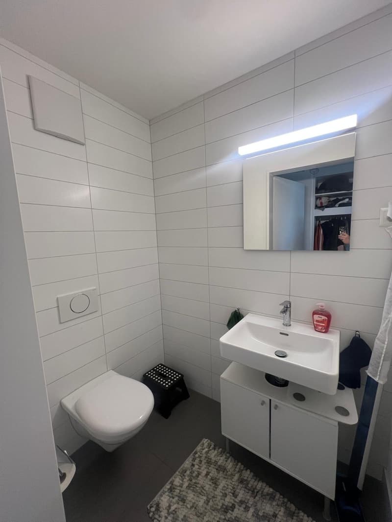 WG Zimmer, 8600 Dübendorf (7)