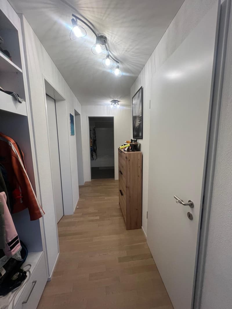 WG Zimmer, 8600 Dübendorf (5)