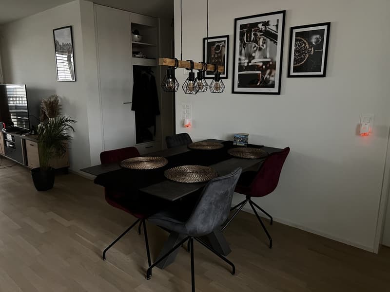 WG Zimmer, 8600 Dübendorf (4)