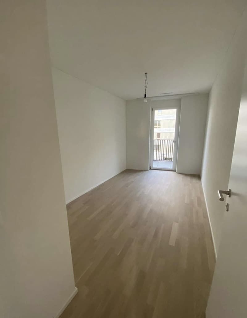 WG Zimmer, 8600 Dübendorf (1)