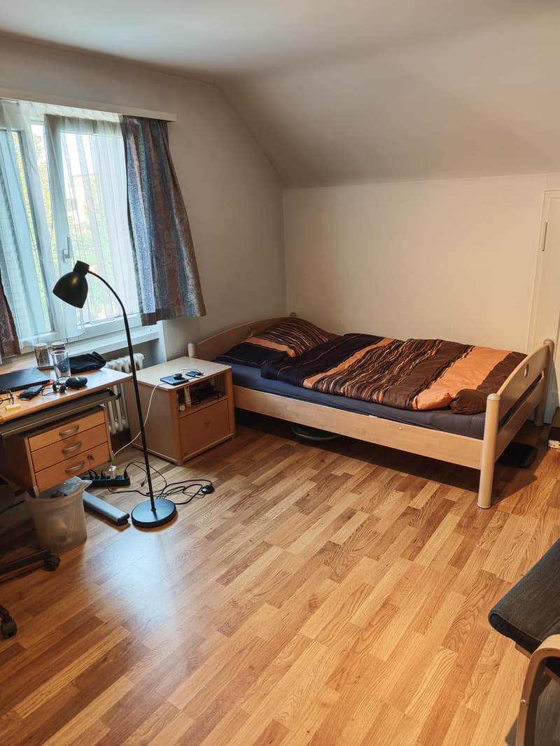WG Zimmer - Regensdorf befristet (01.11.26 - 31.03.27) & möbliert (1)